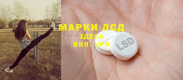 ГАЛЛЮЦИНОГЕННЫЕ ГРИБЫ Аркадак