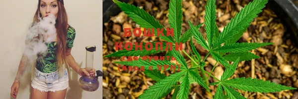 ГАЛЛЮЦИНОГЕННЫЕ ГРИБЫ Аркадак