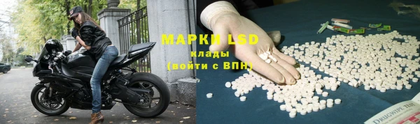 ГАЛЛЮЦИНОГЕННЫЕ ГРИБЫ Аркадак