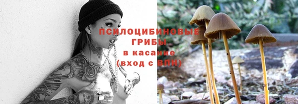 винт Арсеньев